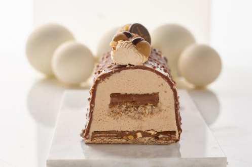 Buche glacée Praliné façon Rocher Glaces de Marc
