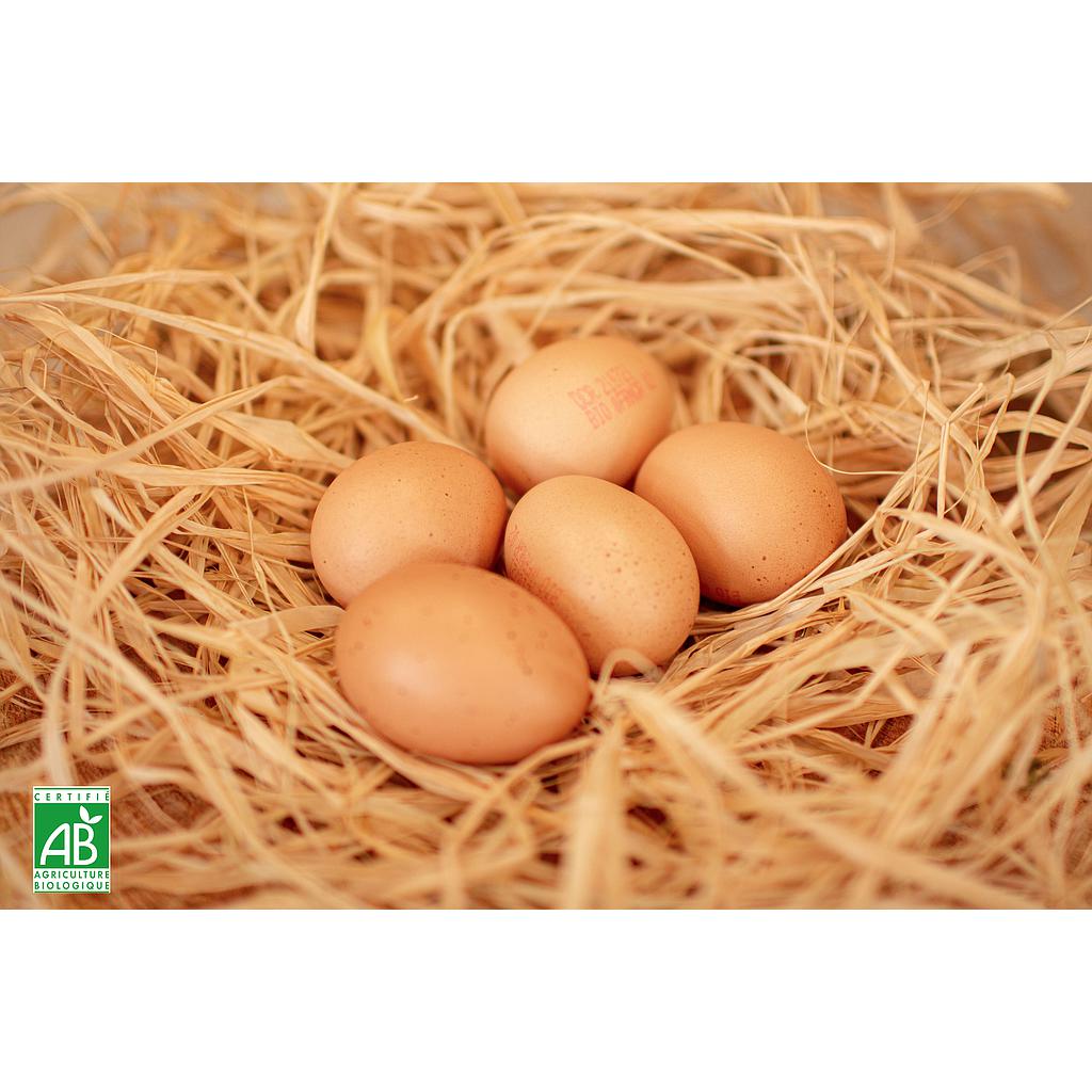 Oeuf bio et local