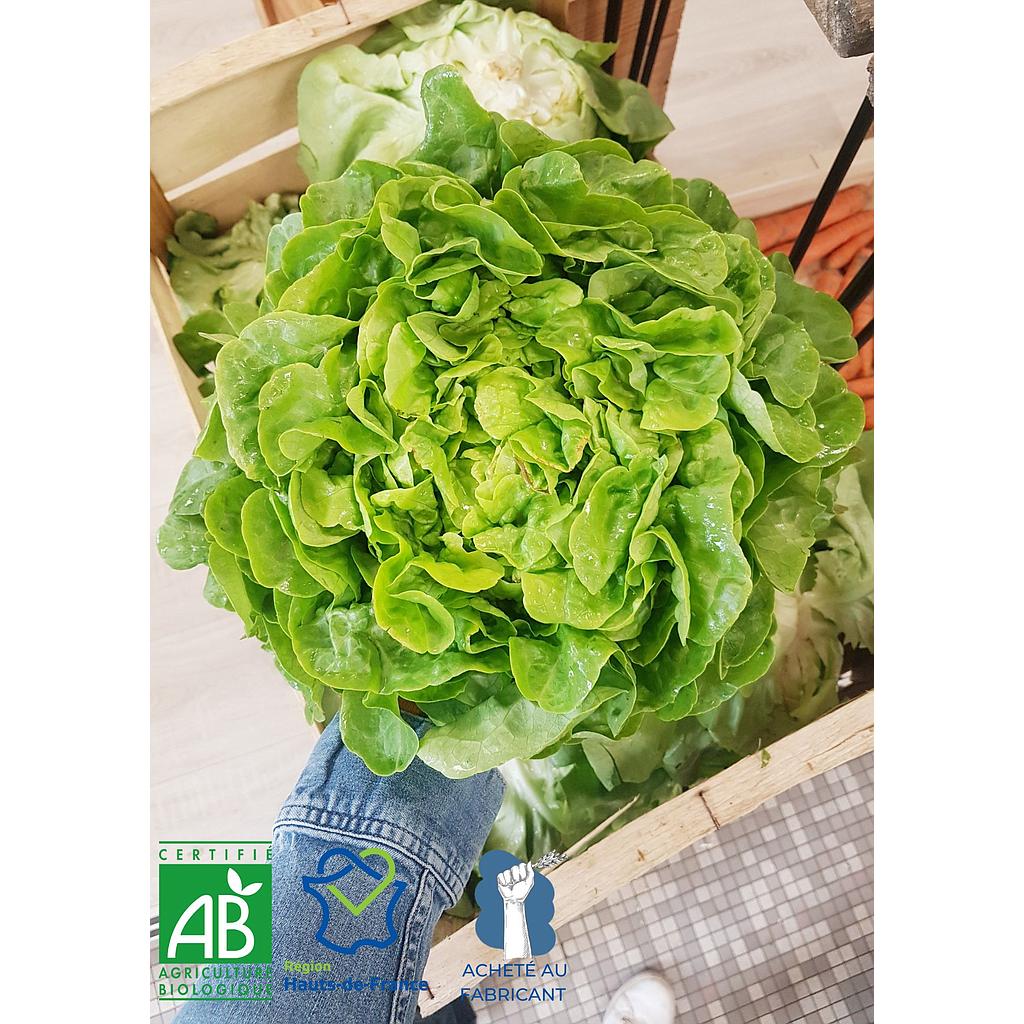Salade Feuille de chêne Bio et Locale