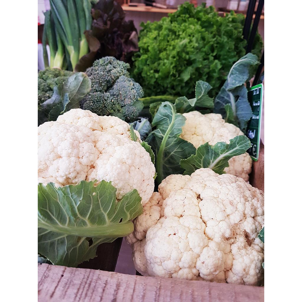 Chou Fleur Bio France