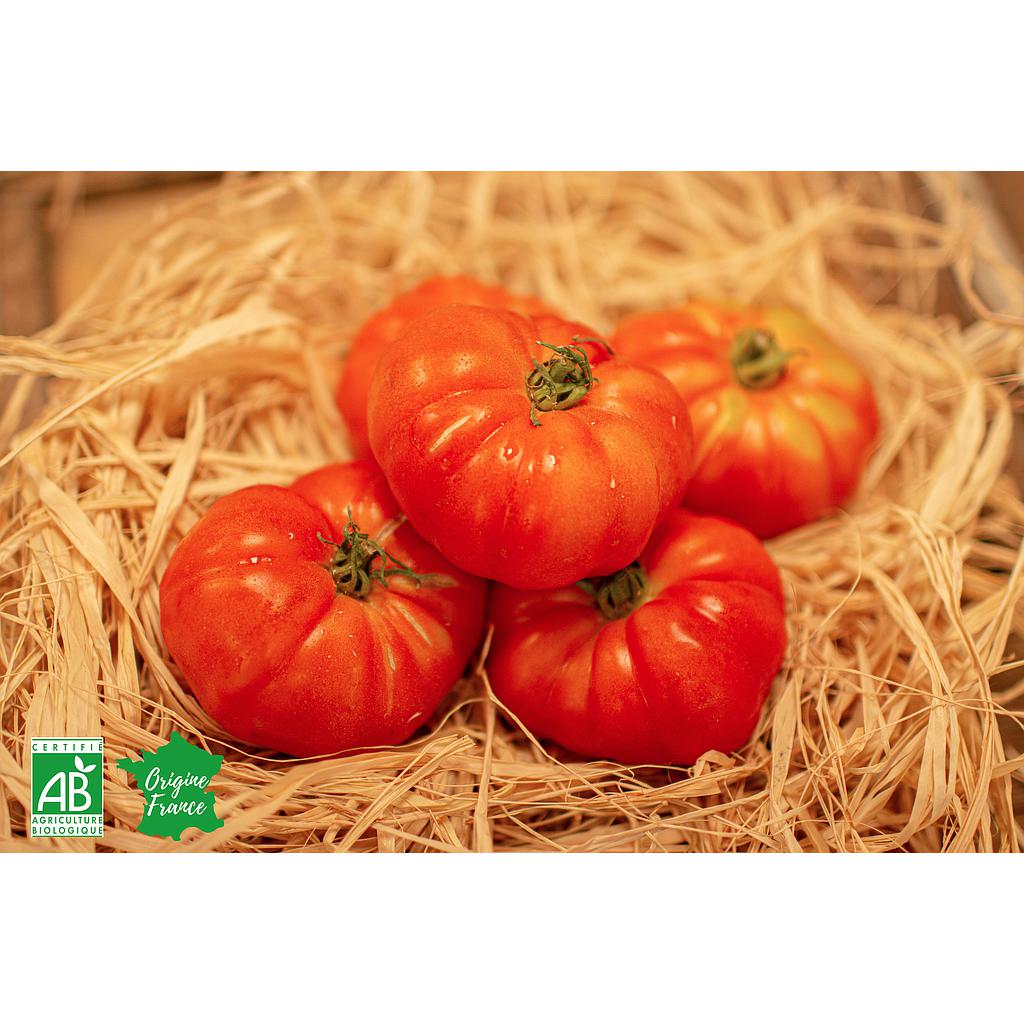 Tomates rondes Bio France 500g