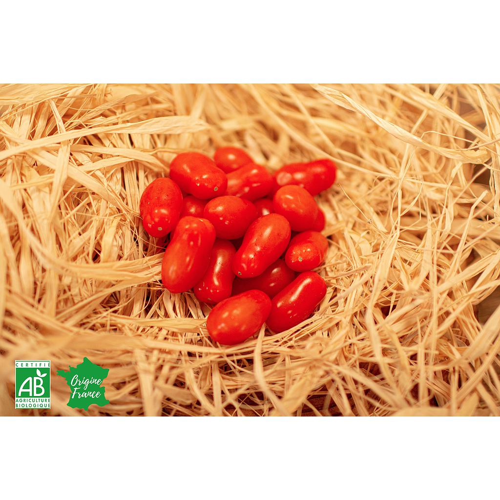 Tomates cerises mixtes bio 250g