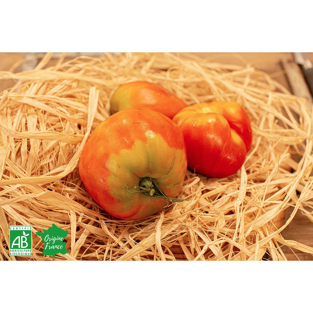 Tomates Coeur de Boeuf ou côtelées bio 500g