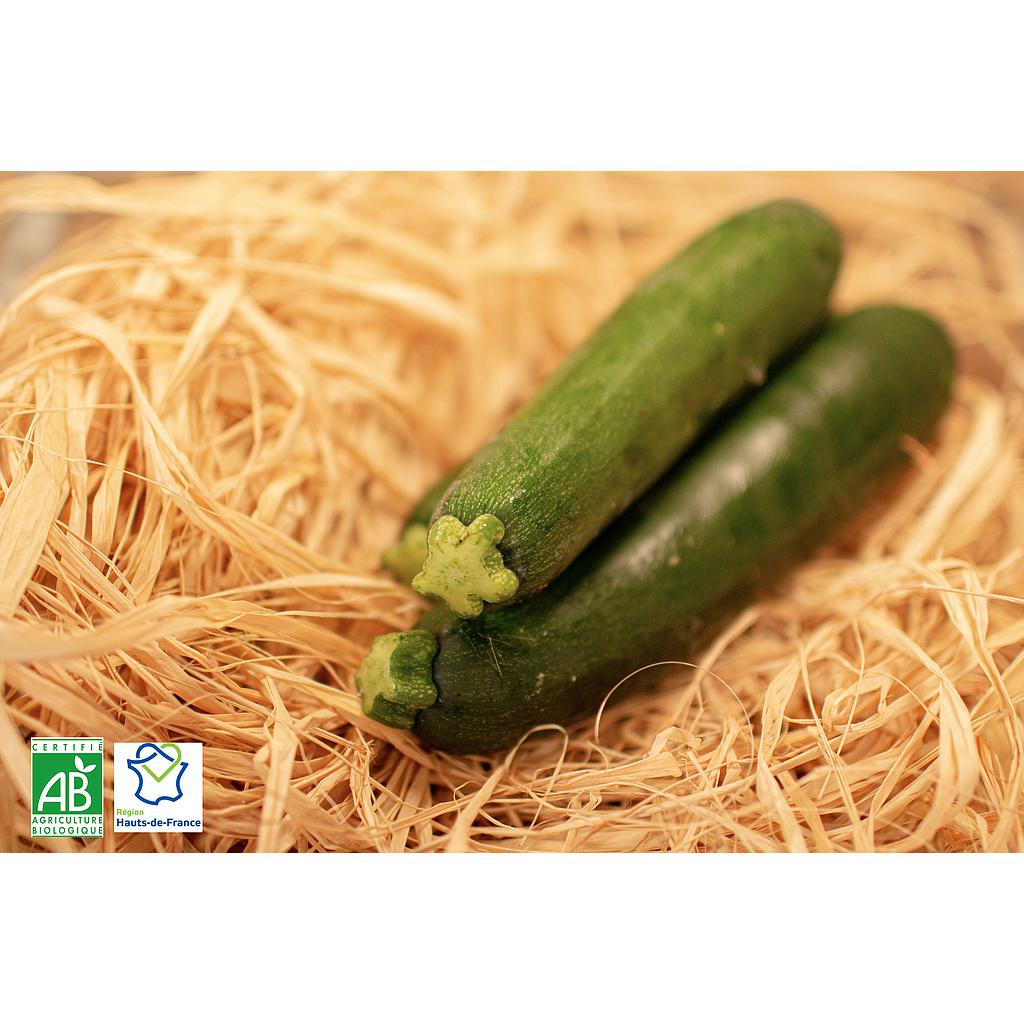 Courgette longue verte Bio France 500g