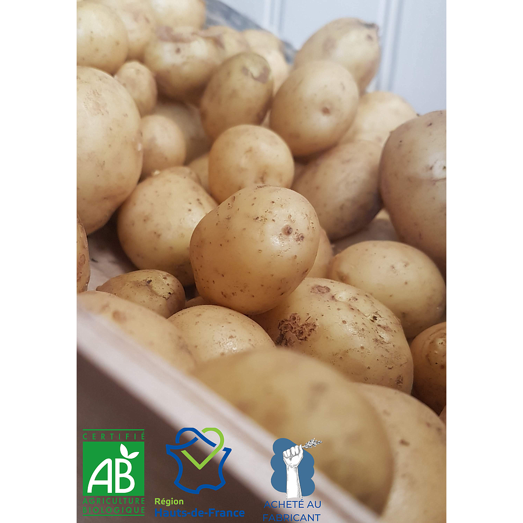 Pommes de terre Chair ferme Hauts-de-France Bio 500g