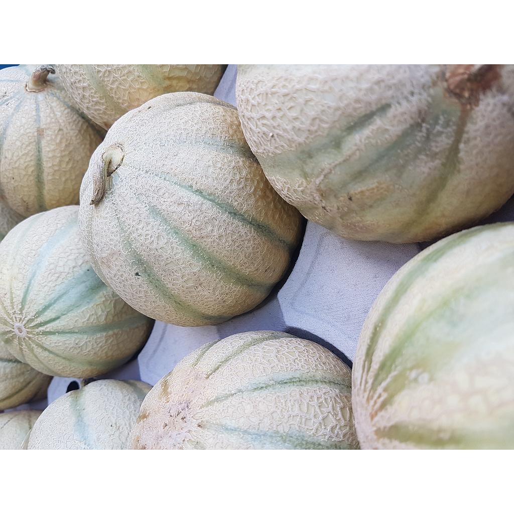 Melon Charentais Bio France