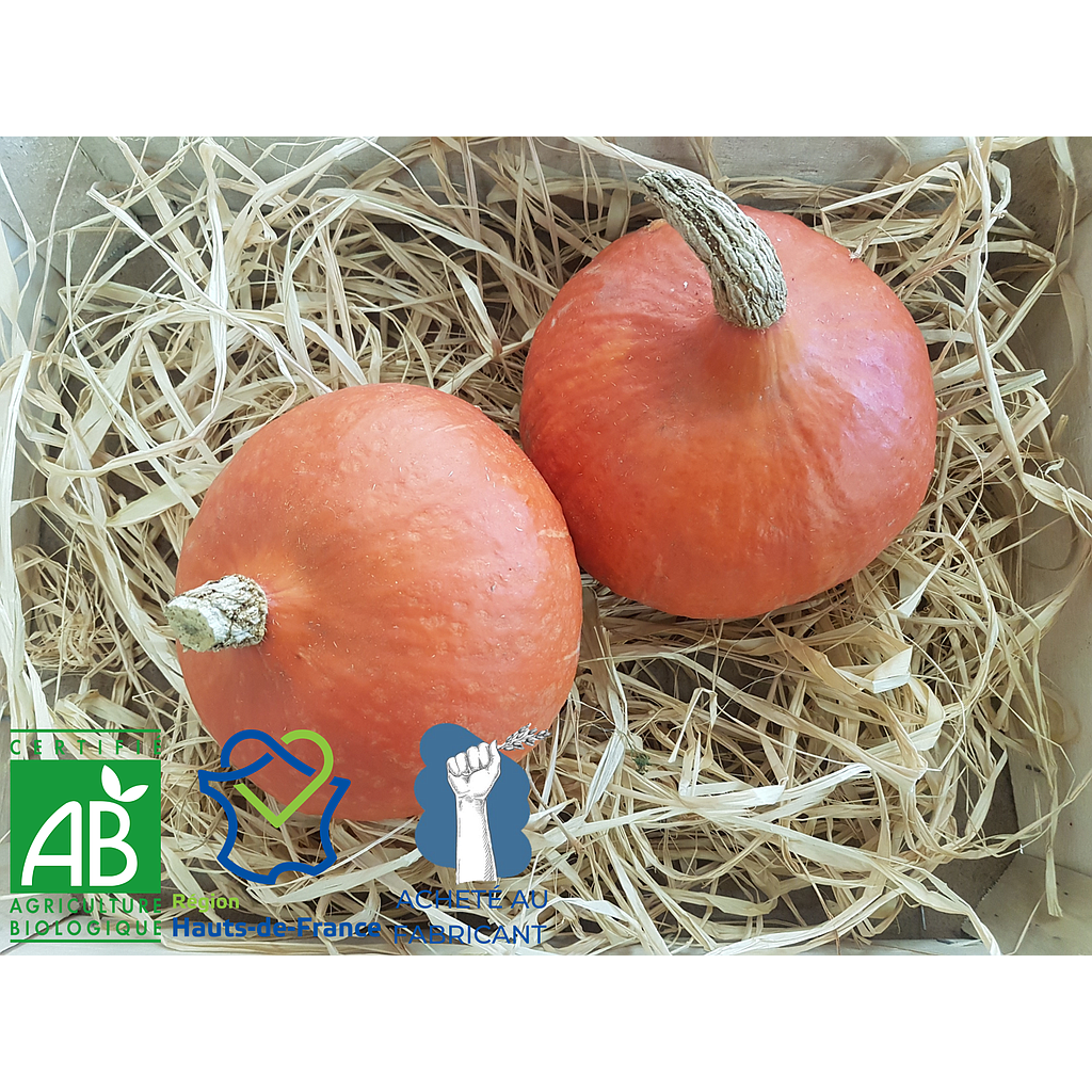 Potimarron Bio et local 1 pièce
