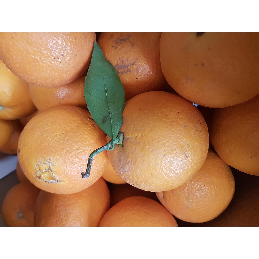 Mandarine Orri Bio Espagne 500g