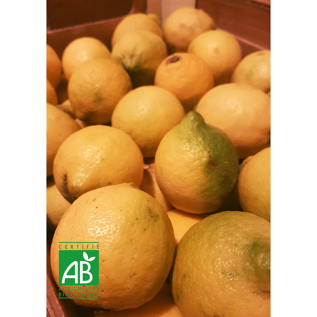 Citron jaune Bio Espagne 100g