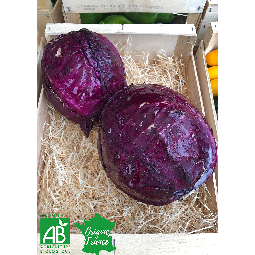 Chou Rouge Bio France