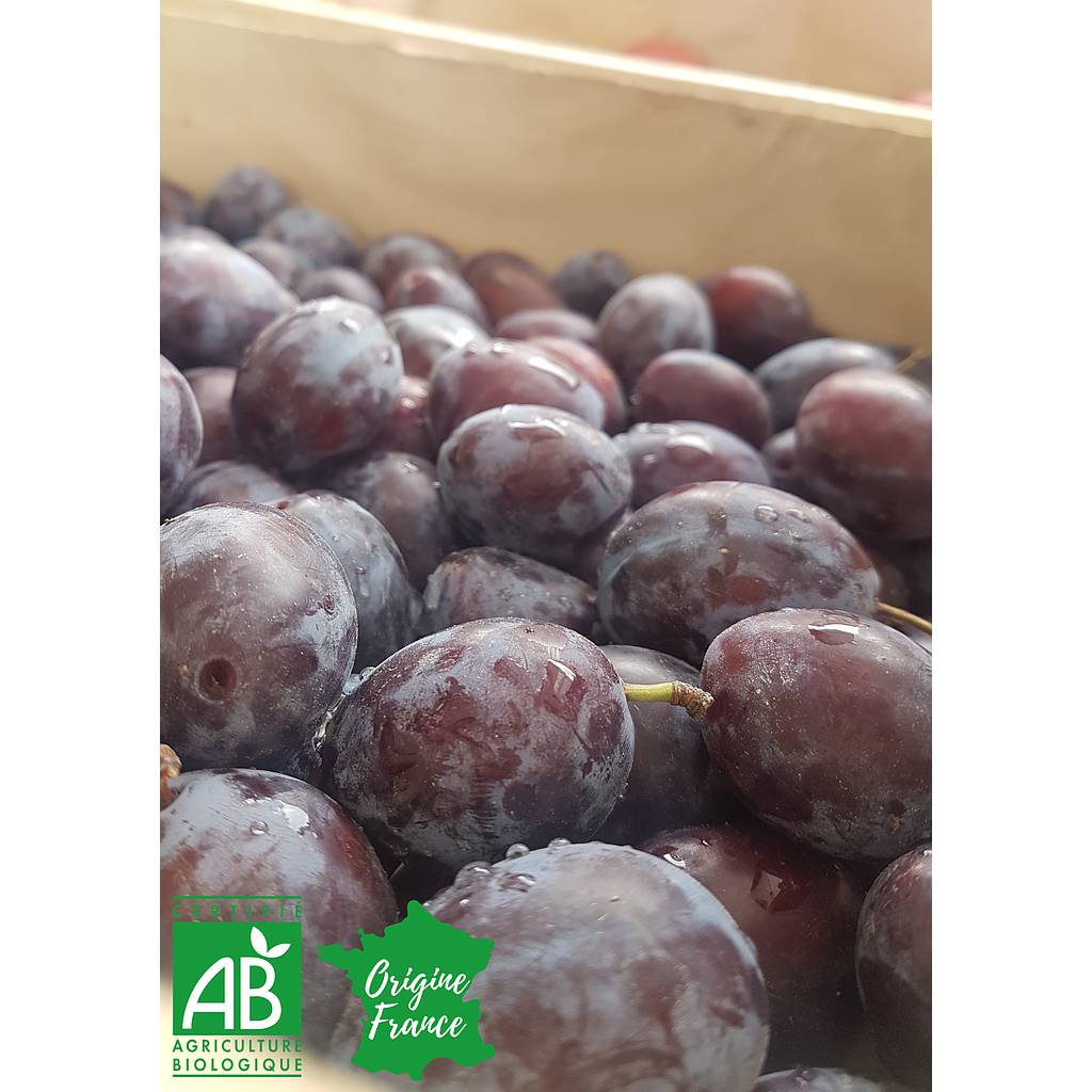 Prune bleue Bio et Française 250g
