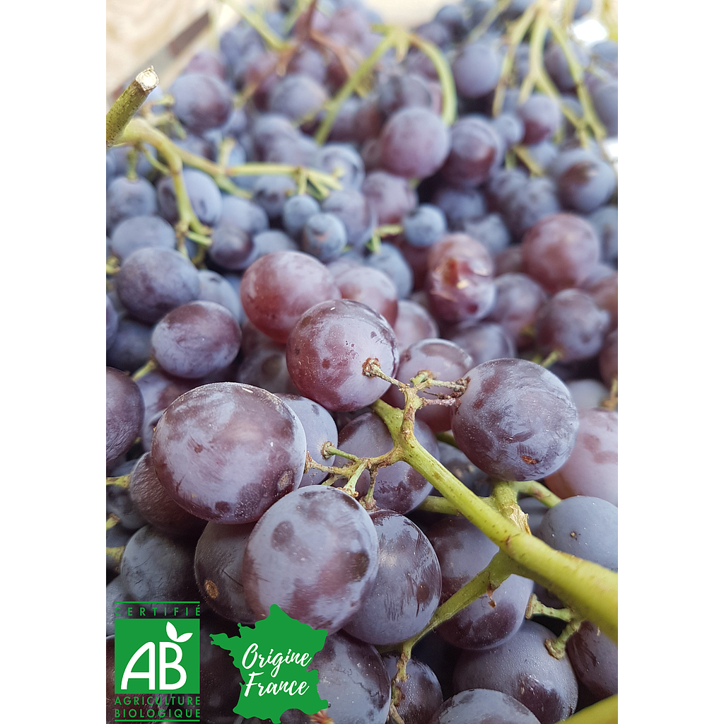 Raisin noir Muscat Bio et Français 200g