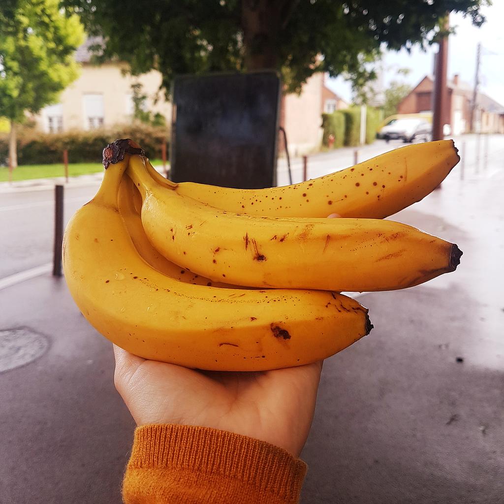 Banane Bio 1Kg