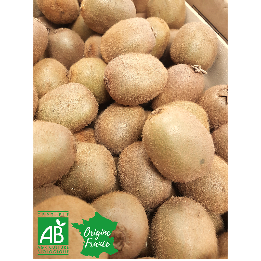 Kiwis Vert Bio France 200g