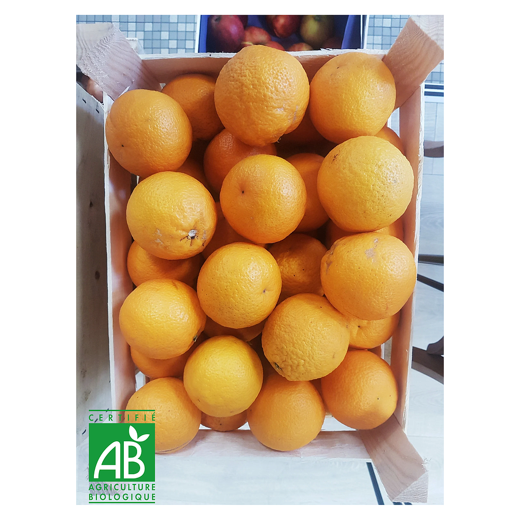 Orange à jus Valencia Bio Espagne 500g