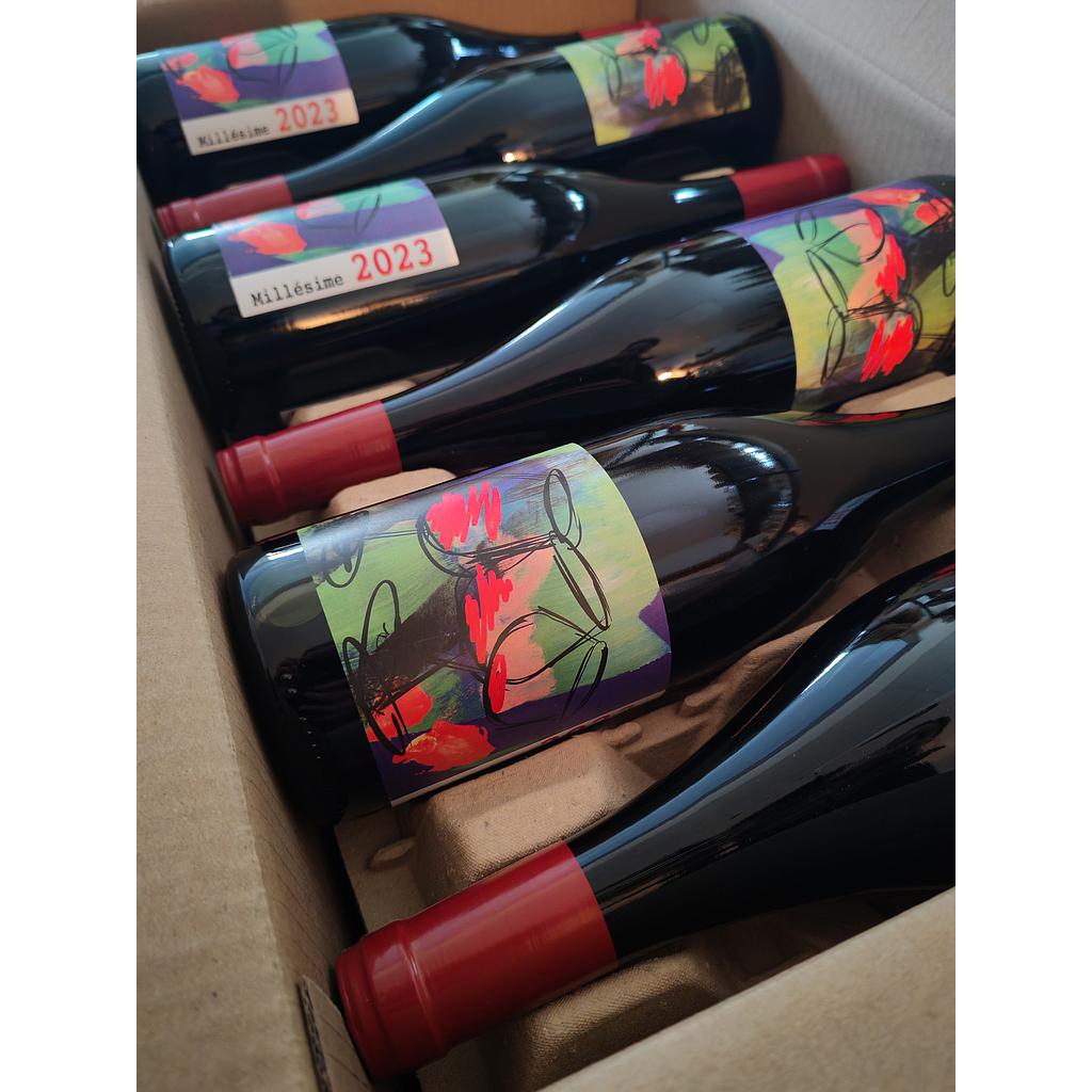 Vin rouge Beaujolais Village Domaine David-Beaupère