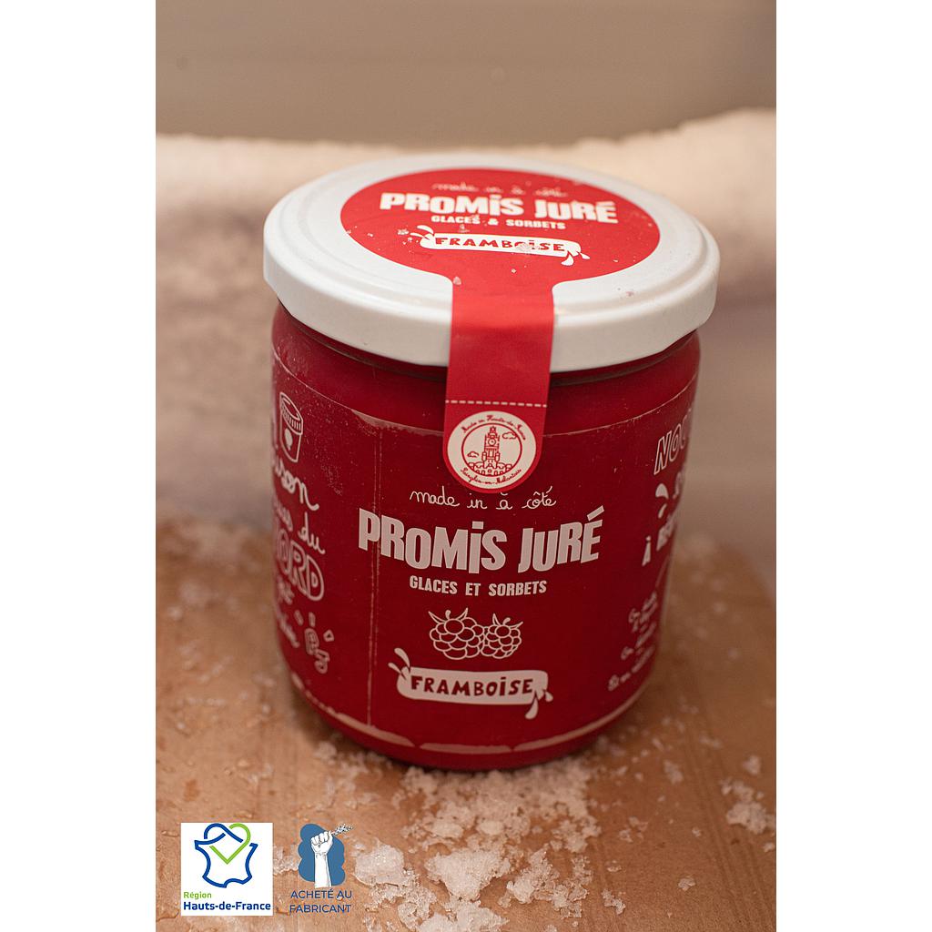 Sorbet plein fruit Framboise 260g