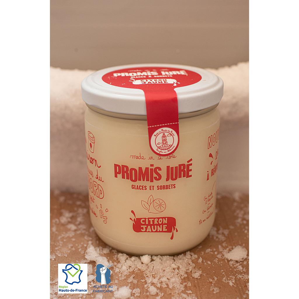 Sorbet plein fruit Citron Jaune 250g
